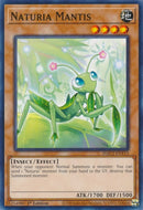 Naturia Mantis (HAC1-EN113) [HAC1]