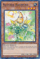 Naturia Ragweed Duel Terminal (HAC1-EN114) [HAC1]