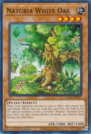 Naturia White Oak (HAC1-EN115) [HAC1]