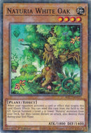 Naturia White Oak Duel Terminal (HAC1-EN115) [HAC1]