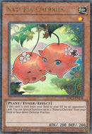 Naturia Cherries Duel Terminal (HAC1-EN116) [HAC1]