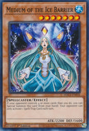Medium of the Ice Barrier (HAC1-EN034) [HAC1]