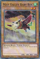 Mist Valley Baby Roc Duel Terminal (HAC1-EN059) [HAC1]