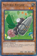 Naturia Antjaw Duel Terminal (HAC1-EN097) [HAC1]