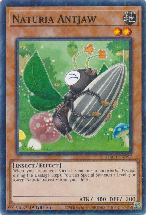 Naturia Antjaw Duel Terminal (HAC1-EN097) [HAC1]