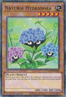 Naturia Hydrangea Duel Terminal (HAC1-EN107) [HAC1]