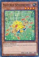 Naturia Spiderfang Duel Terminal (HAC1-EN098) [HAC1]