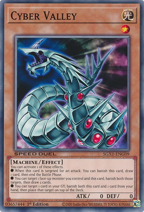 Cyber Valley (SGX1-ENG09)