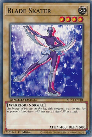 Blade Skater (SGX1-ENE01)