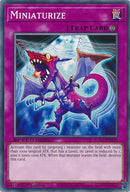 Miniaturize (SGX1-END20)