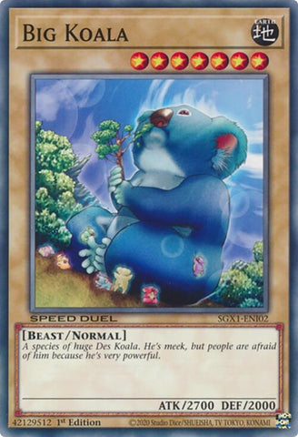 Big Koala (SGX1-ENI02)