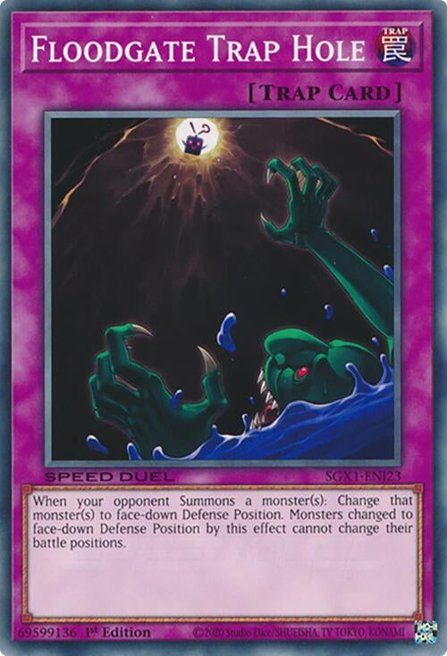 Floodgate Trap Hole (SGX1-ENI23)