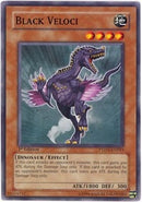 Black Veloci (PTDN-EN033) [PTDN]