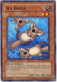Sea Koala (PTDN-EN037) [PTDN]
