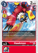Image for Hawkmon [New Awakening]