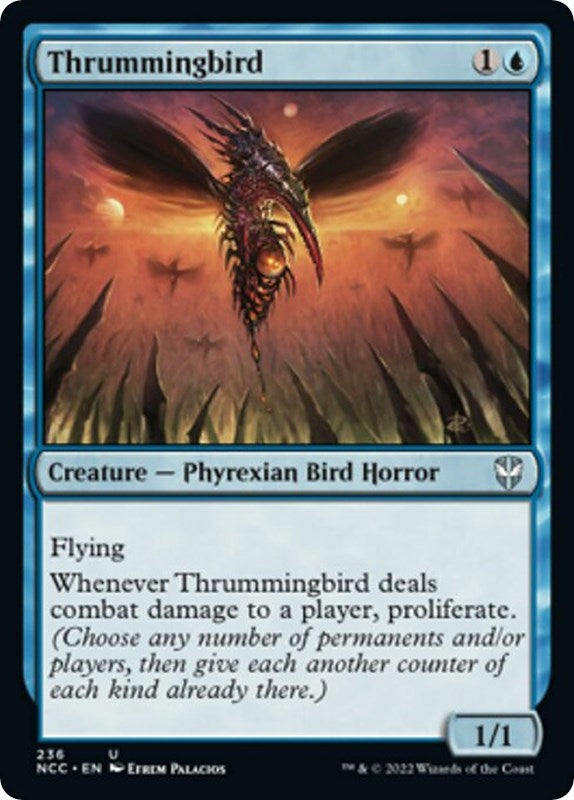 Thrummingbird (236) [NCC]