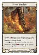 Image for Storm Striders [History Pack Vol.1]