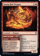 Young Red Dragon // Bathe in Gold [Commander Legends: Battle for Baldur's Gate]