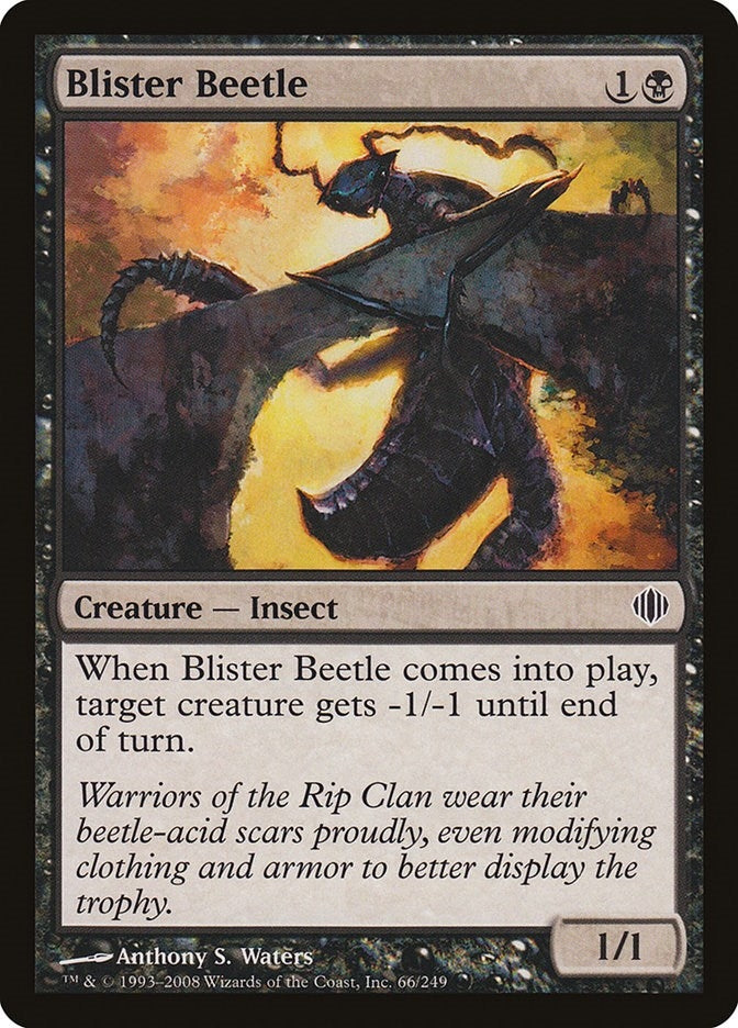 Blister Beetle (66) [ALA]
