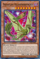 Predaplant Heliamphorhynchus (LDS3-EN072) [LDS3]
