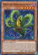 Predaplant Drosophyllum Hydra (LDS3-EN070) [LDS3]
