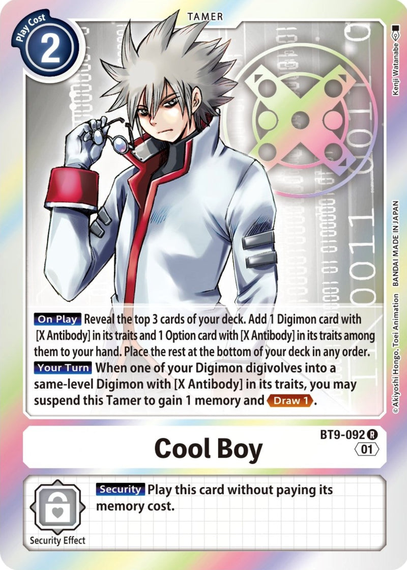 Image for Cool Boy [X Record]