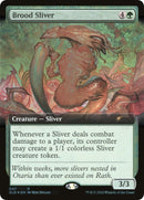 Brood Sliver Extended Art (647) [SLD]