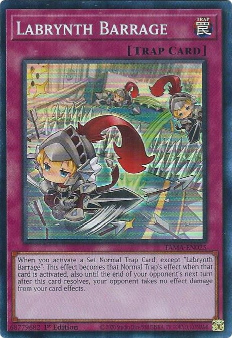 Labrynth Barrage (TAMA-EN025) [TAMA]