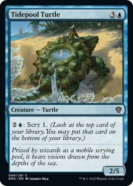 Tidepool Turtle [Dominaria United]