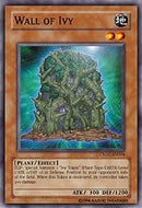 Wall of Ivy (CSOC-EN004) [CSOC]