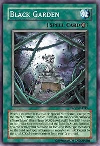 Black Garden (CSOC-EN048) [CSOC]