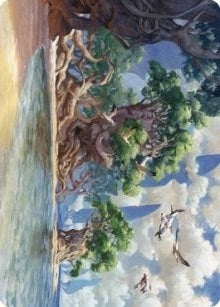 Yavimaya Coast Art Card (61) [ASDMU]