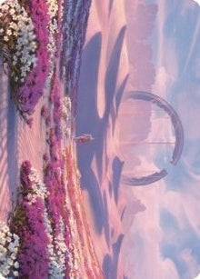 Plains Art Card 63 81 (63) [ASDMU]