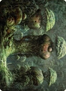 Forest Art Card (65) [ASDMU]