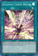 Sunvine Cross Breed (MP22-EN116) [MP22]