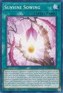 Sunvine Sowing (MP22-EN223) [MP22]