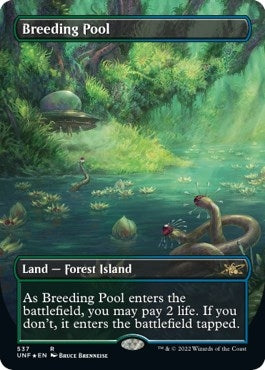 Breeding Pool Borderless Galaxy Foil (537) [UNF]