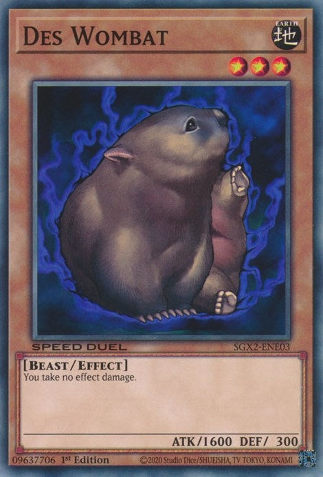 Des Wombat (SGX2-ENE03) [SGX2]