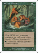 Uktabi Wildcats [Seventh Edition]