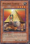 Pyramid Turtle (SDZW-EN007)