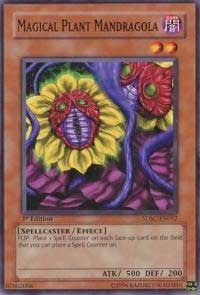 Magical Plant Mandragola (SDSC-EN012) [SDSC]