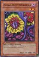 Magical Plant Mandragola (SDSC-EN012) [SDSC]