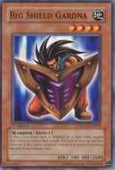 Big Shield Gardna (DPYG-EN009) [DPYG]