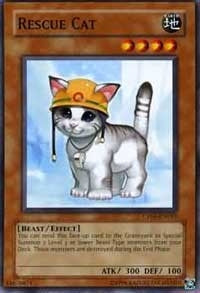 Rescue Cat (CP05-EN015) [CP05]