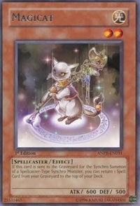 Magicat (ANPR-EN031) [ANPR]