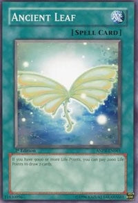 Ancient Leaf (ANPR-EN061) [ANPR]