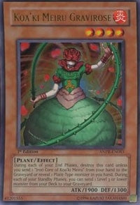 Koaki Meiru Gravirose (ANPR-EN083) [ANPR]