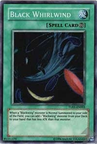 Black Whirlwind (TU01-EN005)