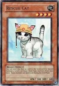 Rescue Cat (TU01-EN008)