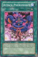 Attack Pheromones (SOVR-EN048)